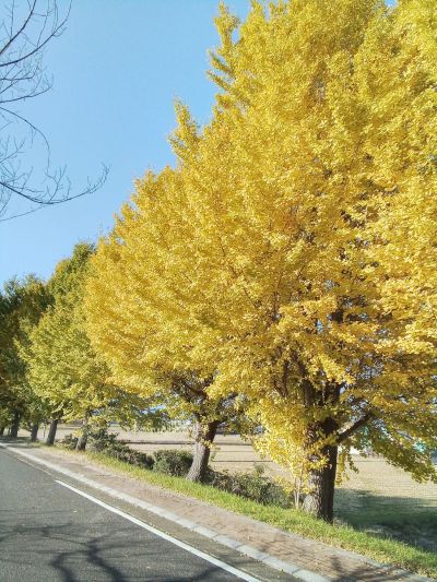 秋の風　最初のサイン